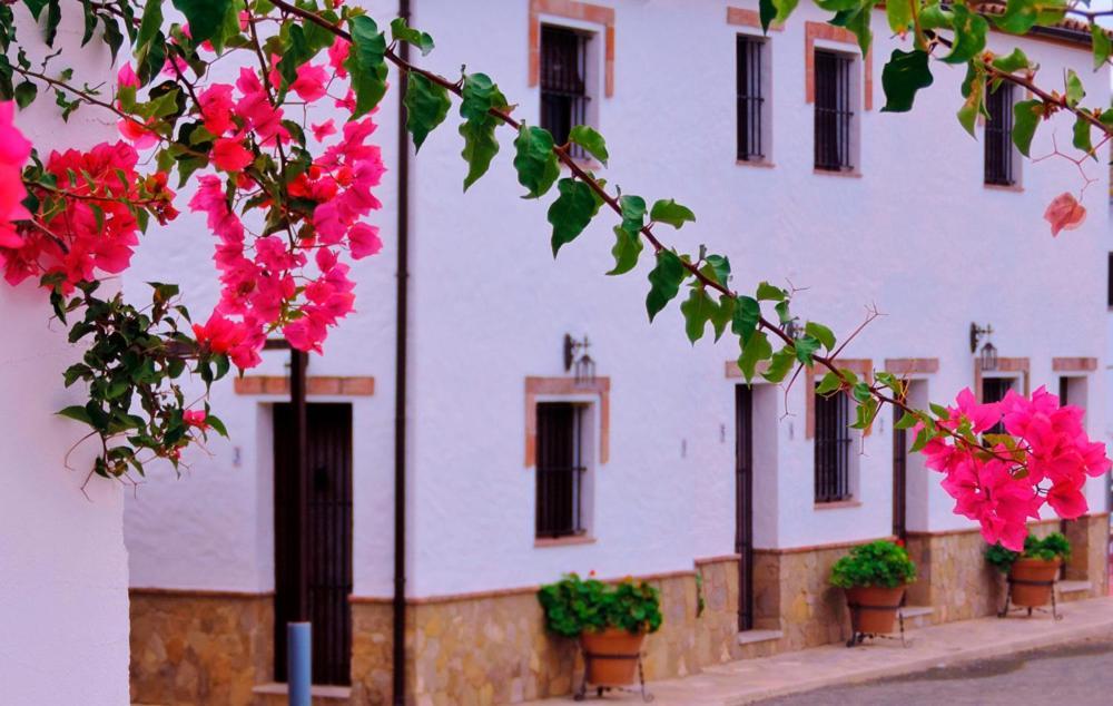 Hacienda San Francisco Villa Prado Del Rey Bagian luar foto