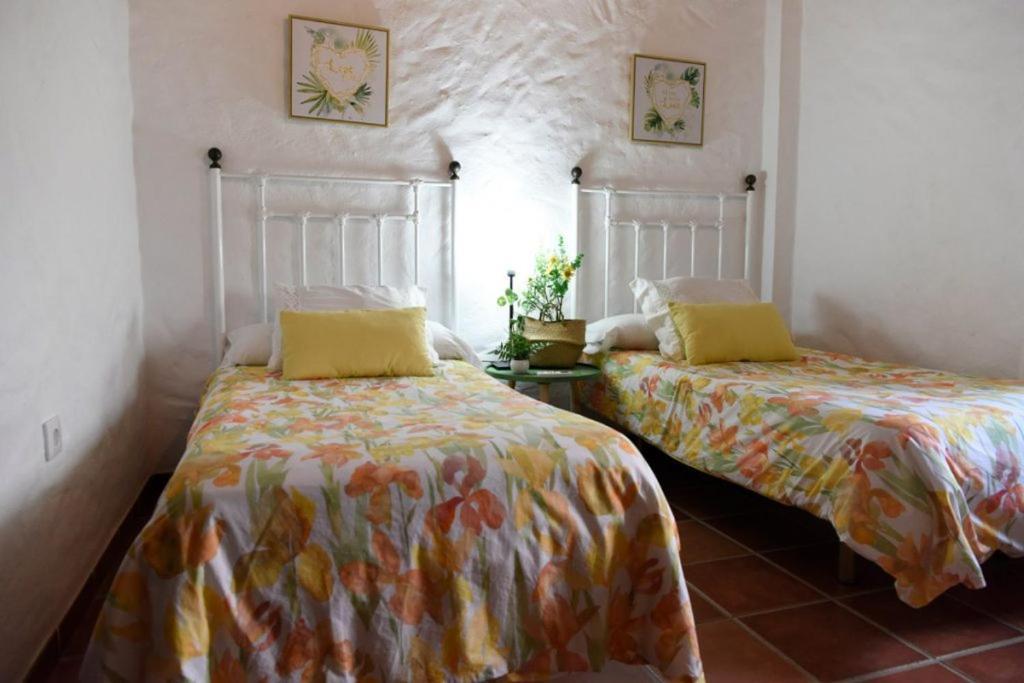 Hacienda San Francisco Villa Prado Del Rey Bagian luar foto