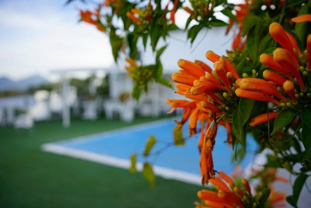 Hacienda San Francisco Villa Prado Del Rey Bagian luar foto
